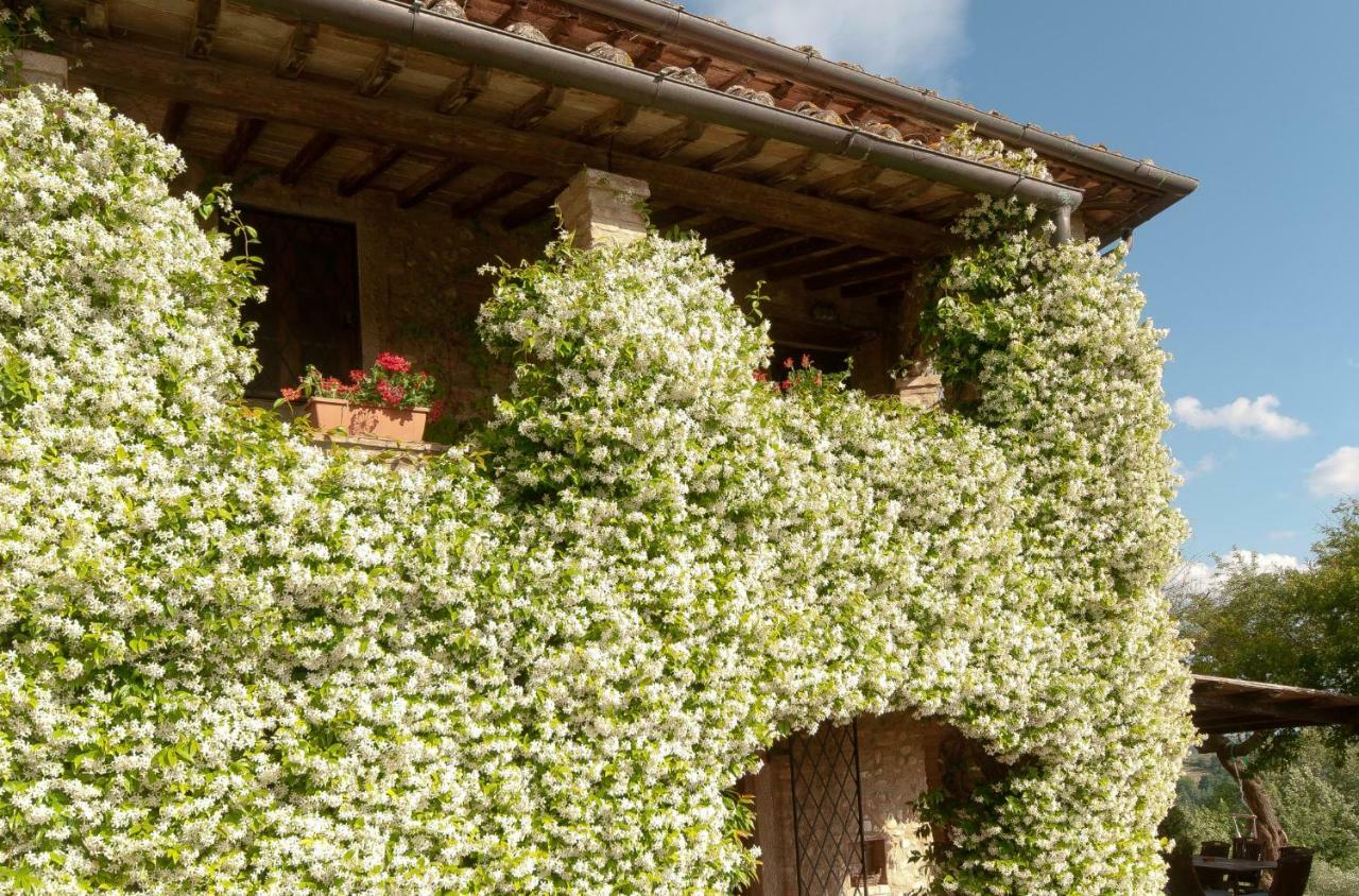 Vila Novellina Certaldo Exteriér fotografie